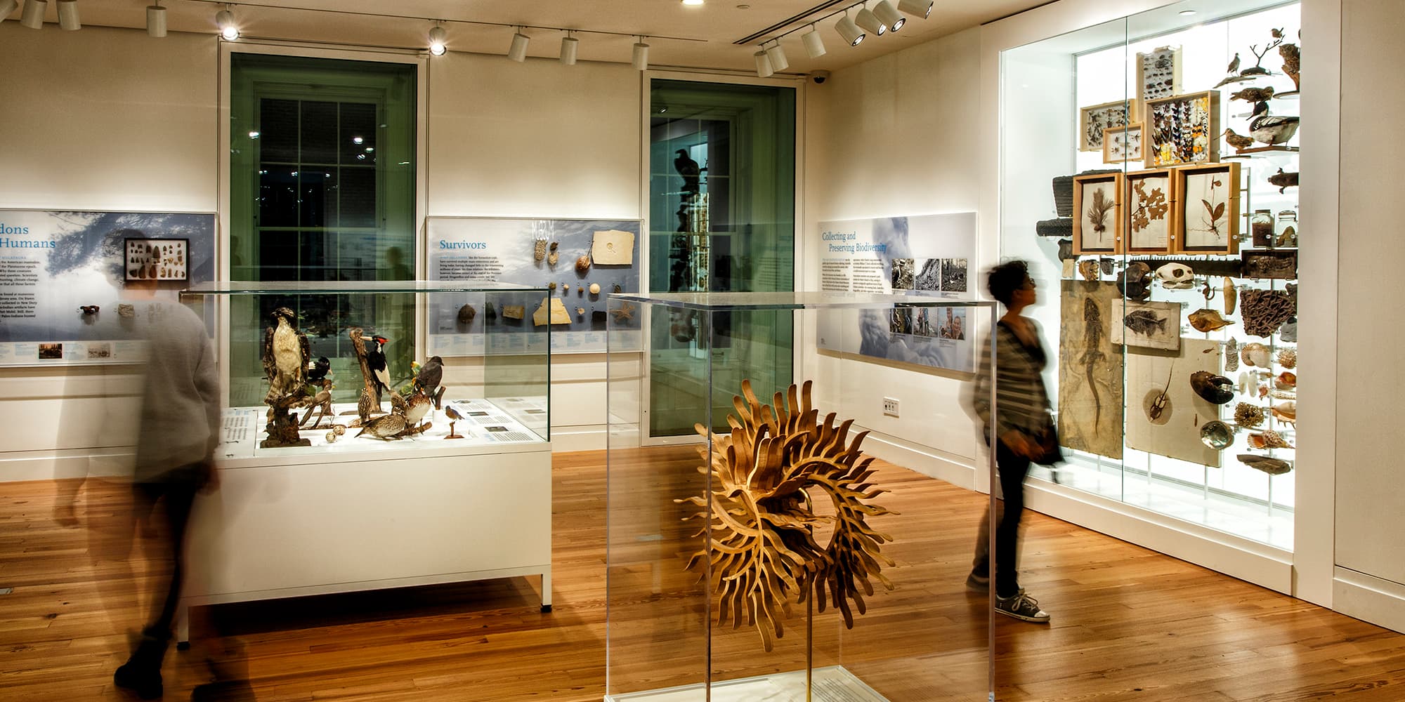 Müzeler ve Sanat Galerileri